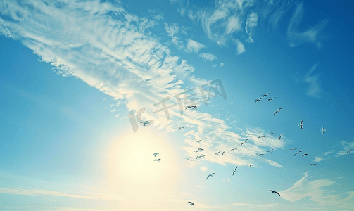 鸟儿飞翔动图摄影照片_成群的鸟儿在蓝天上飞翔