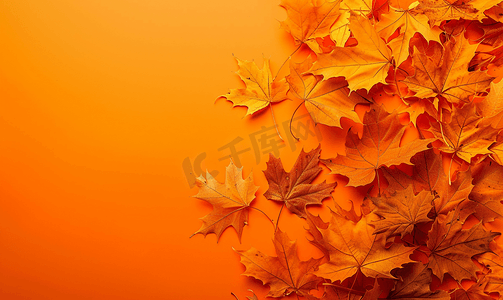 标题半圈摄影照片_橙色纸背景上美丽明亮的秋叶带复制空间