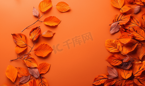 橙色纸背景上美丽明亮的秋叶带复制空间