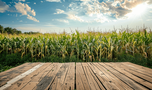 带玉米农场的空木板空间平台