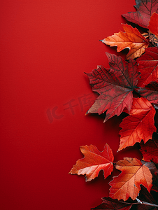 红纸背景上美丽明亮的秋叶带复制空间
