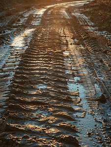 泥泞路上的轮胎痕迹