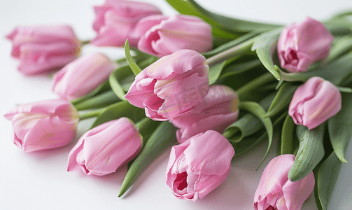 粉色郁金香花束