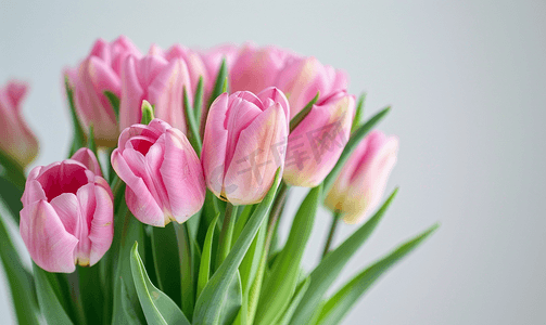 粉色郁金香花束
