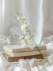 美丽的花概念白布背景书籍上的白色静态花