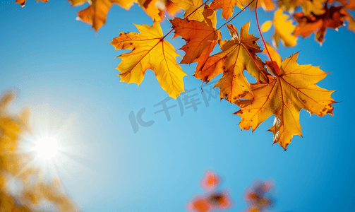 令人惊叹的秋天色彩和清澈的蓝天