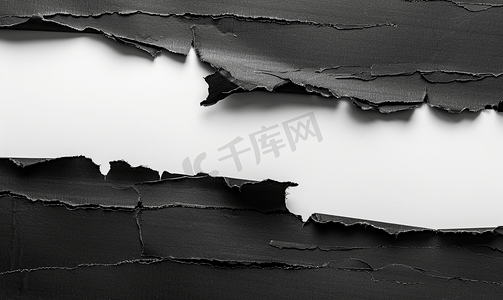 展品标签摄影照片_白色背景上孤立的黑色撕破纸撕边条
