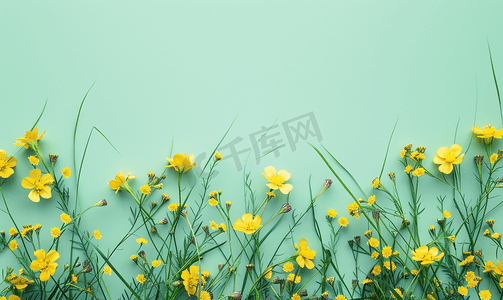 背景绿摄影照片_浅绿色背景上柔和的绿草和黄色花朵最小顶视图平躺