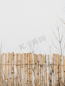 浅色竹篱笆映衬着晴朗的天空