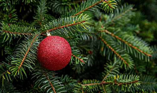 松枝背景上用红球装饰的圣诞树
