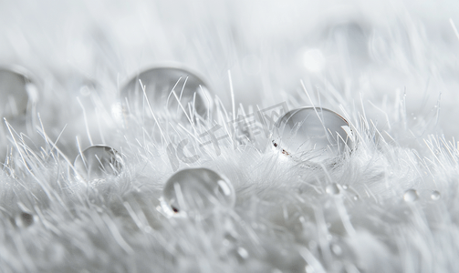 雨水滴摄影照片_绒毛上小水滴的微距照片