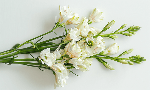 一束鲜花和白色晚香玉花蕾准备上市