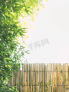 浅色竹篱笆映衬着晴朗的天空