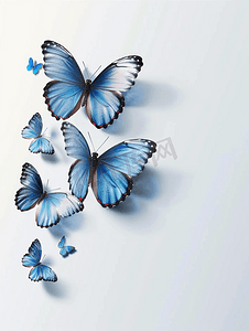 白色的蝴蝶摄影照片_白色背景上的蝴蝶易于在项目中使用