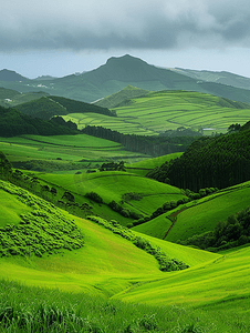 圣米格尔岛令人惊叹的绿色草地和山丘