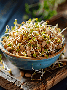 发芽的食物在质朴的木质背景上盘子里放着发芽的豆子宏观营养学