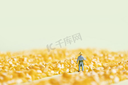 玉米碎农民丰收节微缩创意图片