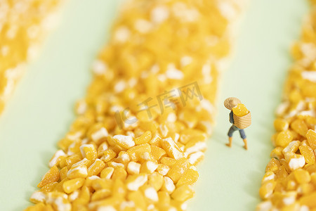玉米碴创意农民丰收节