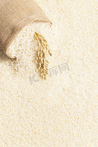 大米稻穗粮食背景
