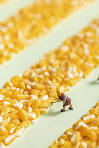 玉米碴创意农民晾晒粮食图片