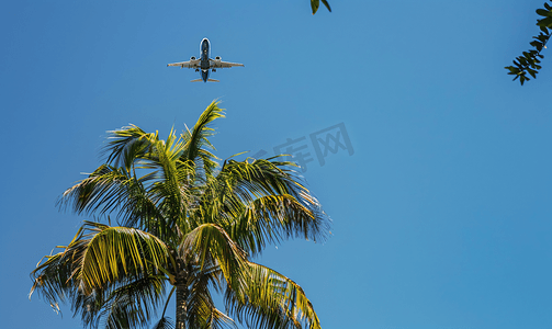 一架商用喷气式飞机在棕榈树上空起飞度假时间复制空间