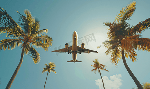 一架商用喷气式飞机在棕榈树上空起飞度假时间复制空间
