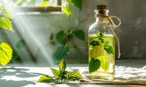 植物玻璃瓶摄影照片_玻璃瓶荨麻酊草药