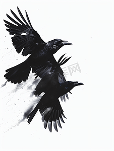 血液恐怖摄影照片_天空中的乌鸦黑乌鸦在空中飞翔野生鸟类飞行细节