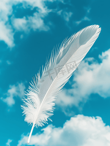 蓝天背景上雪白的羽毛带有云彩亮度概念