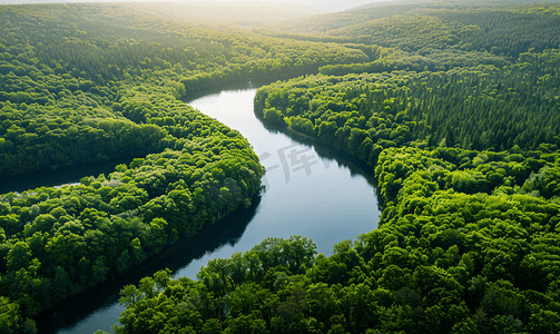 从高处俯瞰森林中蜿蜒的河流