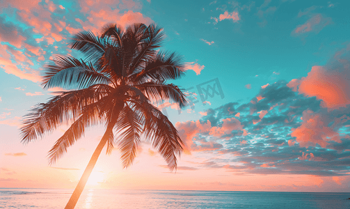 夏威夷棕榈树日落