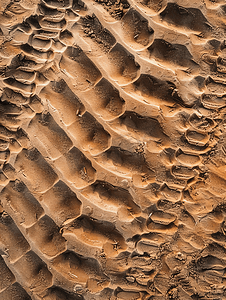 棕色色调沙子上的轮胎痕迹抽象背景和图案