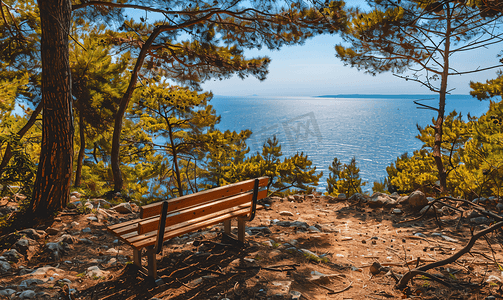 森林中一张由天然木材制成的长椅可欣赏海景