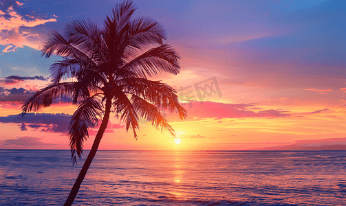 夏威夷棕榈树日落