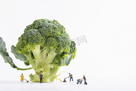 减肥创意摄影照片_西兰花蔬菜微缩创意图片