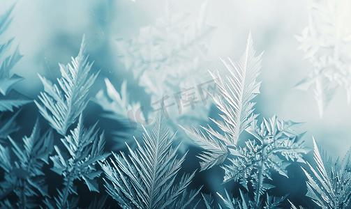 片状雪花摄影照片_冬季窗玻璃上自然结冰的图案