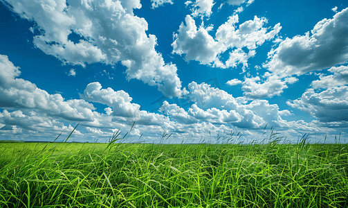 盆地简笔摄影照片_蓬松的白云悬挂在沼泽草上