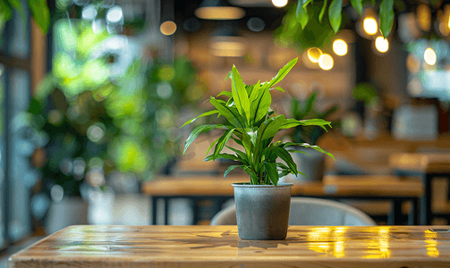 绿色植物装饰餐厅
