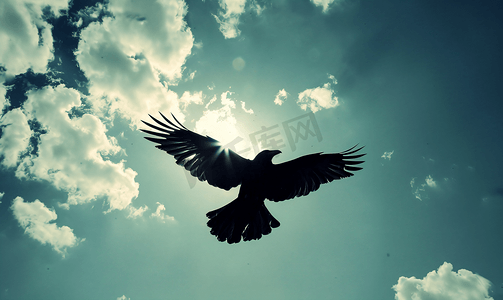 米和灵性logo摄影照片_天空中的乌鸦乌鸦飞翔的天空观