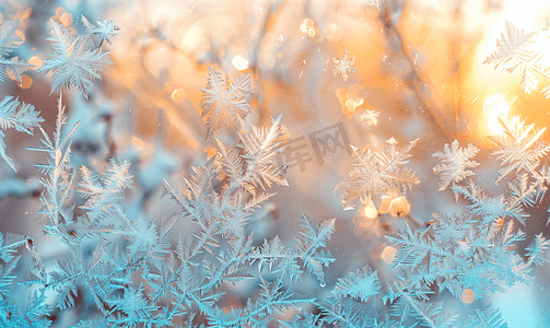 片状雪花摄影照片_冬季窗玻璃上自然结冰的图案