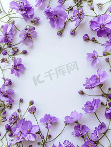 白色背景上镶有紫色花朵的平躺顶视图