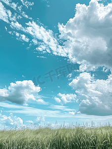 淤泥摄影照片_沼泽地和沼泽草上空蓬松的白云
