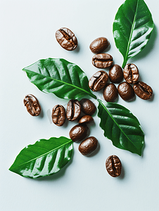棕色咖啡豆背景摄影照片_烘焙咖啡豆和分离的叶子