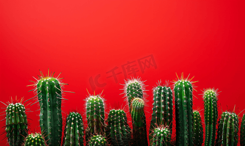 红色背景中的人造仙人掌植物或塑料或假树