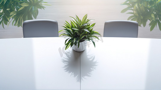 空荡荡的宽敞会议桌绿植高清图片