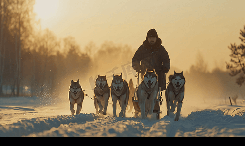 哈士奇疑问摄影照片_雪橇犬比赛哈士奇雪橇犬队用狗拉雪橇拉雪橇冬季比赛