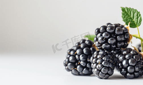 白色食品背景摄影照片_黑莓水果套装特写孤立在白色和散景上