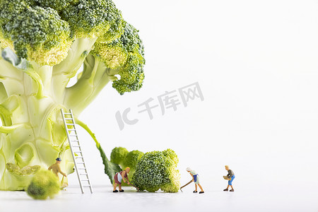 蔬菜蓝素材图片摄影照片_青菜西兰花微缩创意素材图片