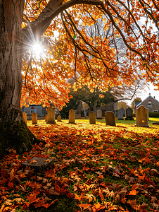 普利茅斯历史悠久的墓地树叶在变化