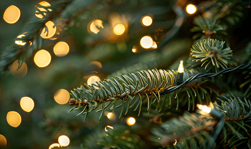圣诞led灯串摄影照片_天然圣诞树上的串灯特写